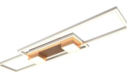 Plafonder < Trio Lighting Albany Plafond LED kaffebrun
