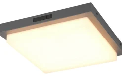 Badrumslampor Tak-Trio Lighting Bermejo Plafond LED 30x30cm antracit IP54