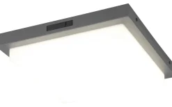 Badrumslampor Tak-Trio Lighting Bermejo Plafond LED 30x30cm antracit IP54