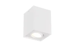 Takspot Med 1 Lampa-Trio Lighting Biscuit Takspotlight 1-del GU10 mattvit