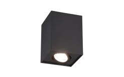Takspot Med 1 Lampa < Trio Lighting Biscuit Takspotlight 1-dels GU10 mattsvart