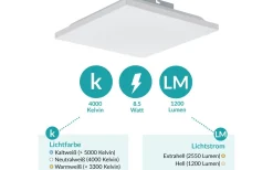 Plafonder < Eglo Calemar Plafond 29cm LED 4000K 8,5W Vit