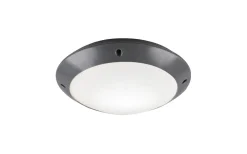 Badrumslampor Tak-Reality Camaro Plafond 26cm E27 antracit IP54