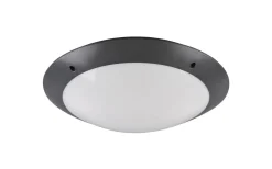 Badrumslampor Tak < Reality Camaro Plafond 33cm 2xE27 antracit IP54