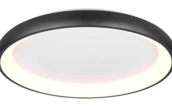 Plafonder < Trio Lighting Cardona Plafond LED 75cm mattsvart