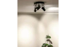 Hall & Trappa|Runda Takspotlights-Aneta Cilindro Takspotlight 29cm LED 3x6W 3000K Svart/Matt Mässing