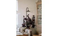 Lampetter-Globen Lighting Cobbler Vägglampa 75cm Rök