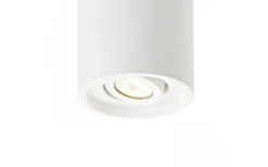 Takspot Med 1 Lampa-Rendl Coles Taklampa Gips GU10