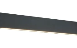 Lampetter-Trio Lighting Concha Vägglampa LED 47cm antracit