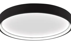 Plafonder < Trio Lighting Doha Plafond LED 45cm mattsvart