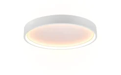 Plafonder-Trio Lighting Doha Plafond LED 45cm mattvit