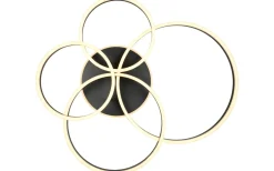 Plafonder < Trio Lighting Drake Plafond LED mattsvart