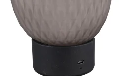 Uppladdningsbara Lampor Inomhus|Bordslampor-Trio Lighting Facette Bordslampa LED rökfärgad/mattsvart uppladdningsbar