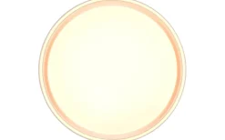 Plafonder < Reality Felis Plafond LED 40cm mattvit