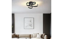 Plafonder < Trio Lighting Francis Plafond LED antracit
