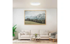 Plafonder-Eglo Frania Plafond 57cm LED 2700-6500K 32,5W med Fjärrkontroll Vit