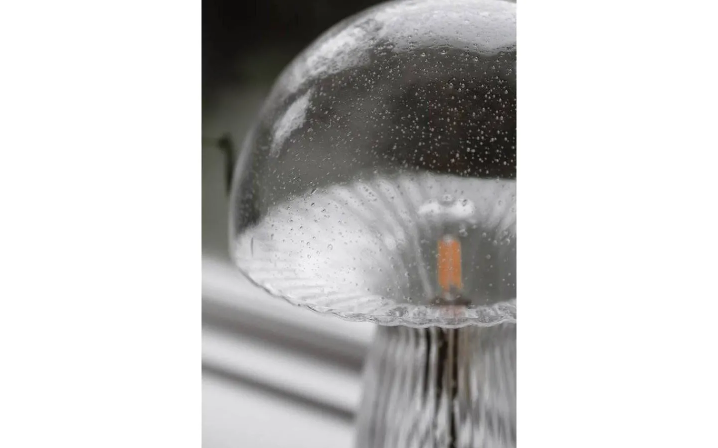 Bordslampor < Globen Lighting Fungo Bordslampa 30cm Klarglas