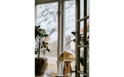Bordslampor < Globen Lighting Fungo Bordslampa 42cm Special Edition Brun