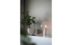 Bordslampor < Globen Lighting Fungo Bordslampa 30cm Special Edition Klar