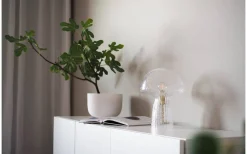 Bordslampor < Globen Lighting Fungo Bordslampa 30cm Special Edition Klar