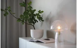 Bordslampor < Globen Lighting Fungo Bordslampa 30cm Special Edition Klar