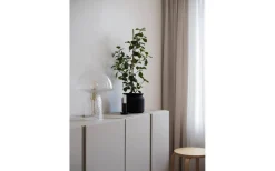 Bordslampor < Globen Lighting Fungo Bordslampa 30cm Special Edition Klar