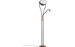 Uplight|Golvläslampor < Trio Lighting Golvlampa LED Chris kaffebrun med läslampa