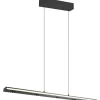 Avlånga Taklampor < Trio Lighting Graham Takpendel LED mattsvart