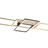 Plafonder < Trio Lighting Irvine Plafond LED matt mässing/matt svart