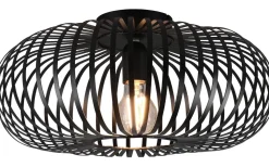 Plafonder-Trio Lighting Johann Plafond 40cm E27 mattsvart
