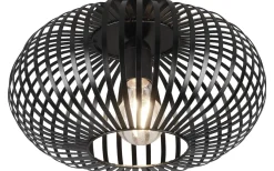 Plafonder-Trio Lighting Johann Plafond 30cm E27 mattsvart