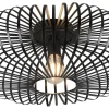 Plafonder-Trio Lighting Johann Plafond 50cm E27 mattsvart