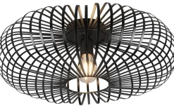 Plafonder-Trio Lighting Johann Plafond 50cm E27 mattsvart