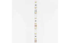 Hall & Trappa|12V Led Slinga < Rendl LEDstrip 12V 5m 3000K 12w/m IP20