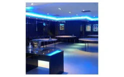 Hall & Trappa|12V Led Slinga < TeraLite LED LEDstrip 12V 5m RGB+WW 14,4w/m