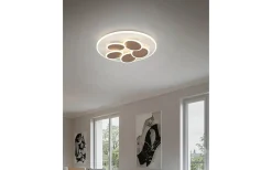 Plafonder-Trio Lighting Mandala Plafond LED varmgrå/kaffebrun