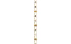 12V Led Slinga < Rendl Orion LED-strip 12V RGB 5M 19,2W/m