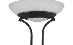 Uplight|Golvläslampor-Reality Orson Golvlampa LED mattsvart