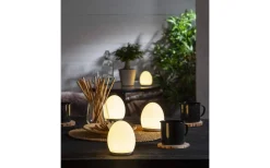 Nattlampor < Star Trading Oval Uppladdningsbar Nattlampa LED RGB+W 11cm