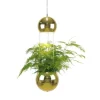 Kök & Matplats|Fönsterlampor-Globen Lighting Planter Mini Fönsterlampa 18cm E14 Mässing