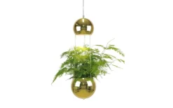 Kök & Matplats|Fönsterlampor-Globen Lighting Planter Mini Fönsterlampa 18cm E14 Mässing