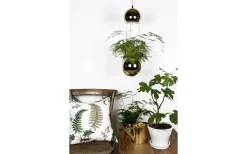 Kök & Matplats|Fönsterlampor-Globen Lighting Planter Mini Fönsterlampa 18cm E14 Mässing