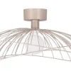 Plafonder-Globen Lighting Ray Plafond/Vägglampa 60cm Mud