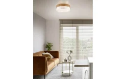 Plafonder-Trio Lighting Seasons Plafond 50cm E27 vit/trä