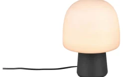 Bordslampor < Trio Lighting Steen Bordslampa E14 matt svart/tau