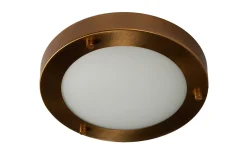 Badrumslampor Tak < ArmaturHantverk Tjörn Plafond Ø18cm 3-Steg DIM LED 10W 3000K Oxid IP44