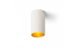 Takspot Med 1 Lampa < Rendl Tuba Takspotlight Matt Vit/Guld