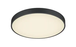 Plafonder < Trio Lighting Waco Plafond LED 49cm mattsvart