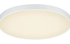 Plafonder < Trio Lighting Waco Plafond LED 75cm mattvit