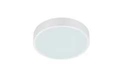 Plafonder < Trio Lighting Waco Plafond LED 30cm mattvit